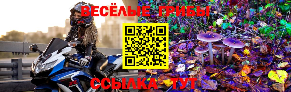 Чайковский  Псилоцибиновые грибы Psilocybe  Псилоцибиновые грибы ЛСД  Вход с VPN 